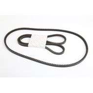 FAN Belt