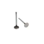 Exhaust Valve