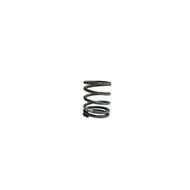 Valve Spring