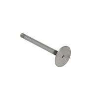 Inlet Valve Ab