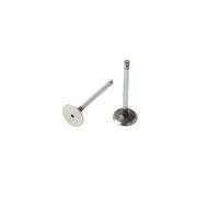 Valve Inlet