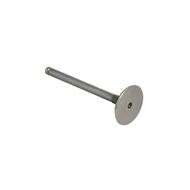 Inlet Valve