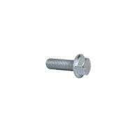 Screw