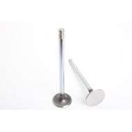 Exhaust Valve