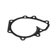 Gasket W/PUMP