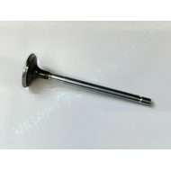 Valve Inlet