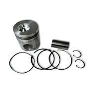 Piston With Rings