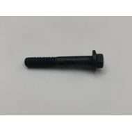Screw Flange Head