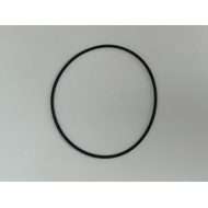 Backup Ring