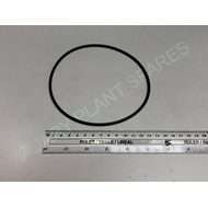 O Ring