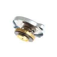Radiator CAP