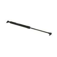 Door Strut - P21