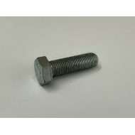 Screw