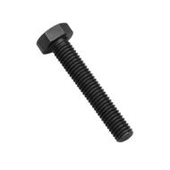 SET Screw