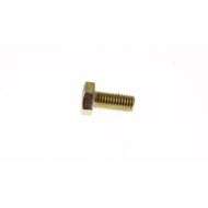 SET Screw
