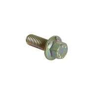 Screw