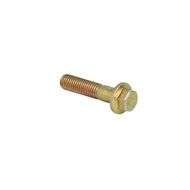 Bolt M10 L-_45mm