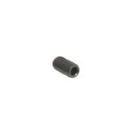 Grub Screw