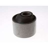 Mountain Rubber