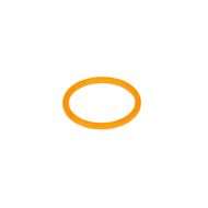 O-ring