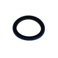 Piston Seal