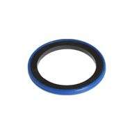 Piston Seal