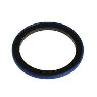 Piston Seal