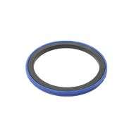 Piston Seal