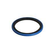 Piston Seal