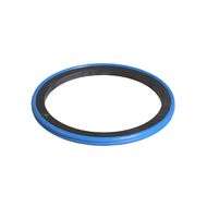 Piston Seal