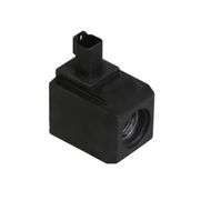 Coil 12V