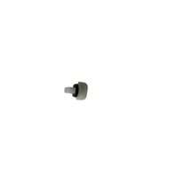 Plug (filter Drain)