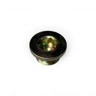 Drain Plug
