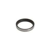 Inlet Valve Seat