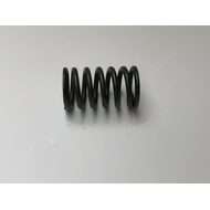Valve Spring.inlet & Exh.'