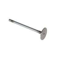 Inlet Valve