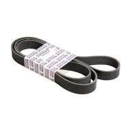 Belt - Front
