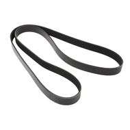 Drive Belt