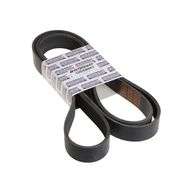 Drive Belt