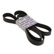 Drive Belt