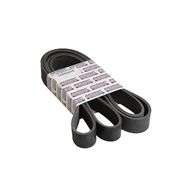 Drive Belt
