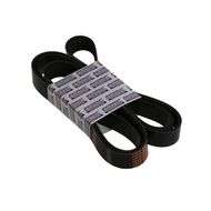 Drive Belt