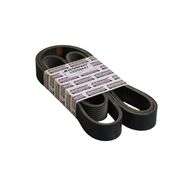 Drive Belt