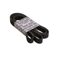 Drive Belt