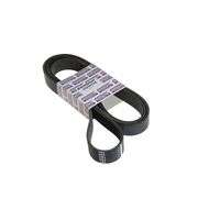 Drive Belt