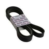 Belt, FAN