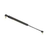 Rear Window Strut P21
