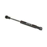 GAS Strut