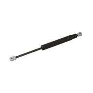 GAS Strut