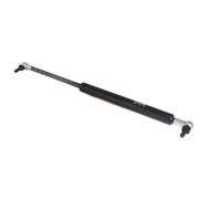 GAS Strut